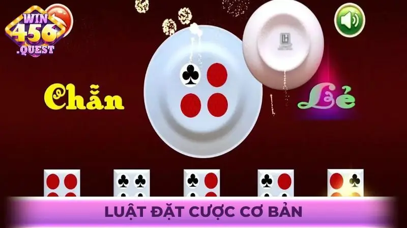 Luật đặt cược cơ bản